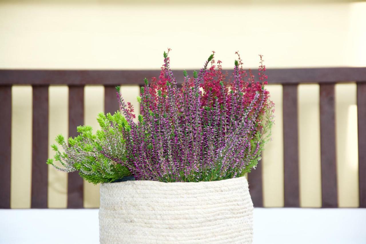 הוילה רומא La Terrazza Di Isabel מראה חיצוני תמונה